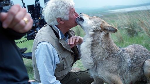 Filmul “Ultimul lup”, regizat de Jean-Jacques Annaud, intră în cinematografele din România în 25 martie