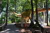 Un schelet de mastodont descoperit în mina de la Racoşul de Sus va fi expus, din 1 iunie, la Dino Parc din Râşnov