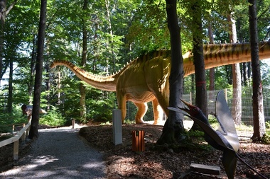 Un schelet de mastodont descoperit în mina de la Racoşul de Sus va fi expus, din 1 iunie, la Dino Parc din Râşnov