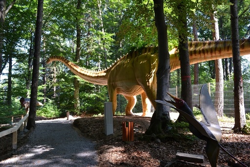 Un schelet de mastodont descoperit în mina de la Racoşul de Sus va fi expus, din 1 iunie, la Dino Parc din Râşnov
