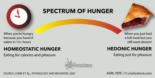 FOTO: Live Science