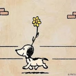 Un muzeu dedicat personajului de benzi desenate Snoopy, inaugurat în Japonia