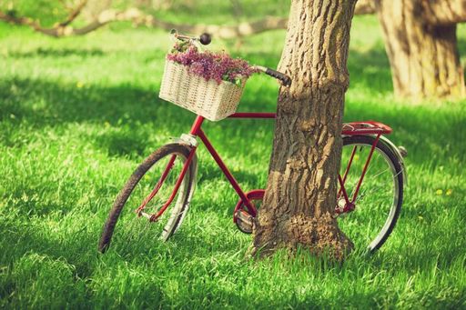 Biciclistele organizează, în acest weekend, o paradă pe două roţi în Capitală