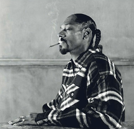 Filmările de la un serial despre procesul de omucidere în care a fost implicat Snoop Dogg au stârnit panică într-un parc