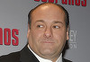 Un paramedic italian, judecat pentru că ar fi furat ceasul lui James Gandolfini, în timp ce actorul se afla în agonie