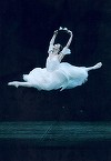 Stagiunea Operei Naţionale din Cluj-Napoca se încheie cu spectacolul ”Lacul lebedelor”, montat pe un lac din oraş