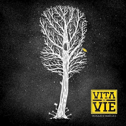 Trupa Viţa de Vie a lansat un nou single, intitulat "Pe plajă-n Vamă la 5" - VIDEO