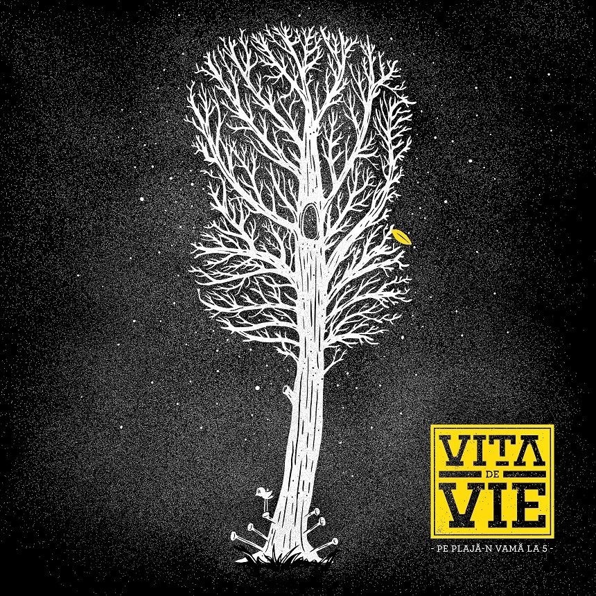 Trupa Viţa de Vie a lansat un nou single, intitulat "Pe plajă-n Vamă la 5" - VIDEO