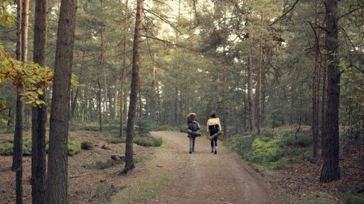 Documentare despre natură, libertate, muzică şi prietenie, proiectate în 20 de localităţi din ţară