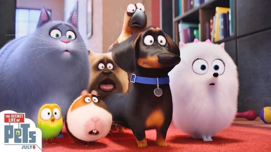 ”The Secret Life of Pets” a debutat în box office-ul nord-american cu încasări de peste 103 milioane de dolari