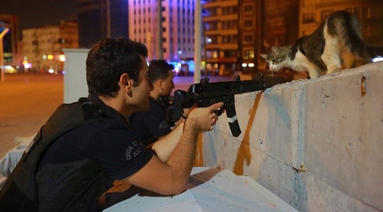 Fotografia unei pisici care ”sfidează” un poliţist înarmat, în timpul loviturii de stat eşuate din Turcia, a devenit virală