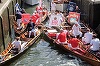 Recensământul anual al lebedelor de pe Tamisa, o tradiţie veche de 800 de ani, a început luni la Londra - FOTO, VIDEO
