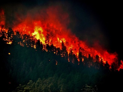 ”Incendiul de nisip” din California a distrus un platou în care au fost turnate filme şi seriale celebre; Adăpostul pentru animale înfiinţat de Tippi Hedren a fost evacuat