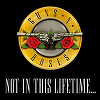 Managerul de producţie al formaţiei Guns N’ Roses: Nu există dată de final pentru turneu. Toată lumea vrea bani