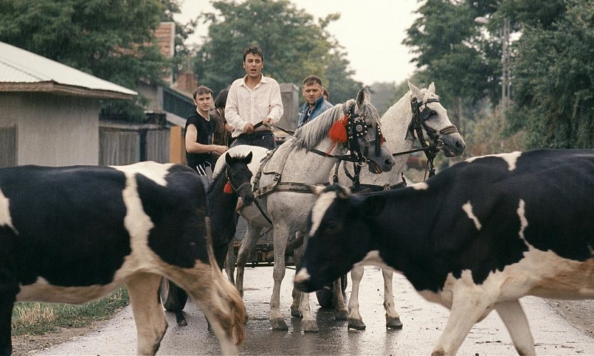 Lungmetrajul ”Anişoara” şi scurtmetrajul ”O noapte în Tokoriki”, la Festivalul de Film de la San Sebastián