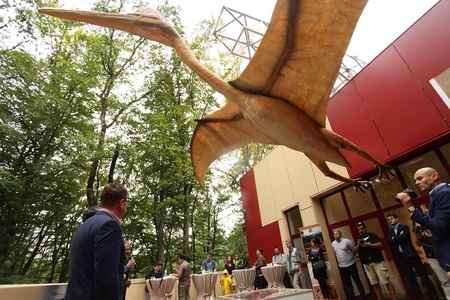 Cel mai mare dinozaur zburător din lume, descoperit în România, expus la Dino Parc Râşnov împreună cu un cuib cu ouă reale de dinozaur