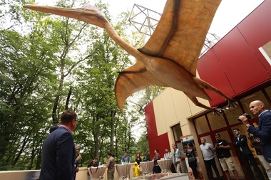 Cel mai mare dinozaur zburător din lume, descoperit în România, expus la Dino Parc Râşnov împreună cu un cuib cu ouă reale de dinozaur