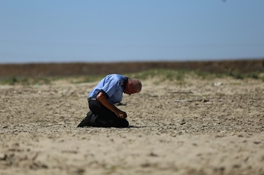Echipa filmului ”Câini” se întâlneşte cu publicul din Bucureşti la avanpremieră specială de la Teatrul de Vară Herăstrău