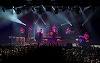 Biletele la Golden Circle pentru concertul trupei The Cat Empire s-au epuizat