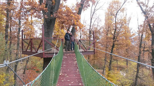 Un cuplu din SUA a petrecut luna de miere la Rezervaţia de Urşi de la Zărneşti: Vizita în sanctuarul Libearty a fost o experienţă revelatoare - FOTO
