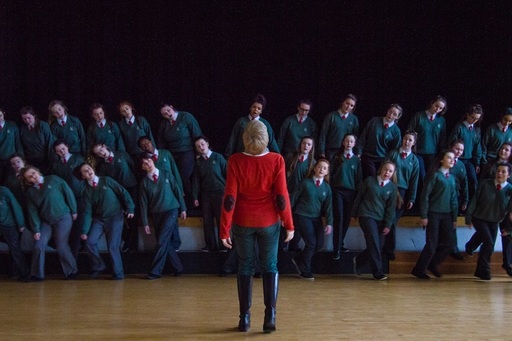 Scurtmetrajul “Women’s Christmas Night”, recompensat cu marele premiu al Bucharest International Dance Film Festival