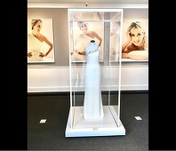 O rochie purtată de prinţesa Diana a fost donată de creatoarea Donatella Versace instituţiei MATE Museo Mario Testino