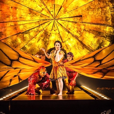 Fiul unuia dintre fondatorii companiei Cirque du Soleil, victimă a unui accident fatal, pe scenă