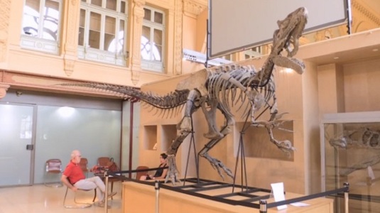 Scheletul unui dinozaur care a trăit în urmă cu 150 de milioane de ani a fost vândut la licitaţie cu 1,1 milioane de euro. VIDEO