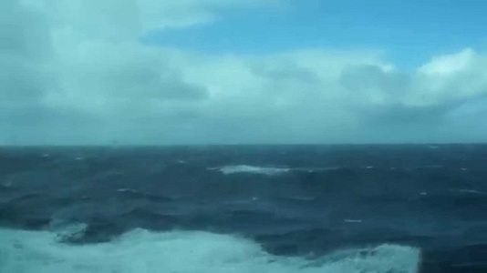 Un val din Oceanul Atlantic, cel mai mare înregistrat vreodată de o baliză, a stabilit un nou record mondial de înălţime