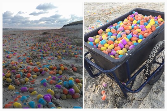 Copiii din Langeoog adună ouăle Kinder de pe o plajă locală (Foto: Twitter)