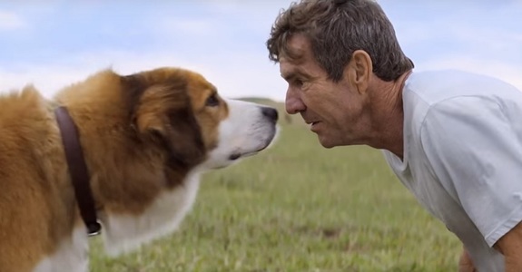 Echipa de producţie a unui film de familie, ”A Dog's Purpose”, a fost acuzată de cruzime împotriva unui câine