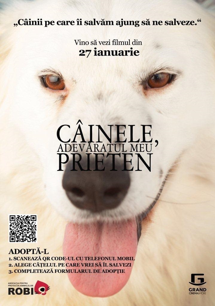 24 de câini vor putea fi adoptaţi la Grand Cinema & More, odată cu premiera filmului ”Câinele, adevăratul meu prieten” 