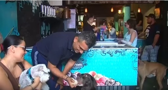 Un magazin dedicat câinilor care iubesc îngheţata a fost deschis în Ciudad de Mexico. VIDEO