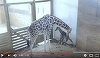 Girafa April a născut un pui sănătos, într-o grădină zoologică din New York; Momentul naşterii a fost vizionat prin livestream de peste 1 milion de internauţi. FOTO, VIDEO