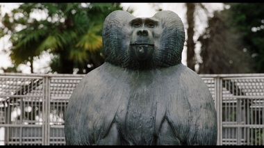 Documentarul ”Ouăle lui Tarzan”, de Alexandru Solomon, în cinematografe din 6 octombrie