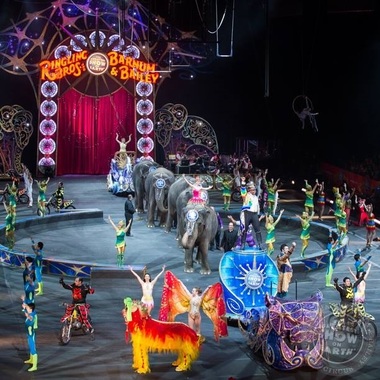 Ringling Brothers and Barnum & Bailey, cel mai cunoscut circ din Statele Unite, a susţinut ultimul show al său, duminică