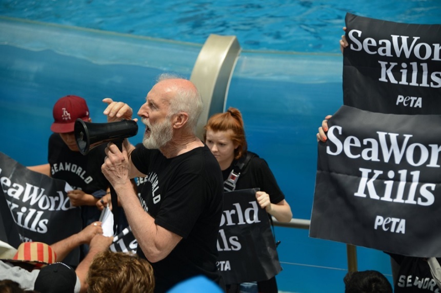 Actorul James Cromwell a fost arestat în timpul unui protest faţă de tratamentul nepotrivit al balenelor ucigaşe