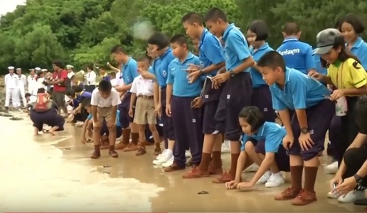 Peste 1.000 de broaşte ţestoase au fost eliberate în Thailanda, pentru longevitatea regelui, cu ocazia zilei sale de naştere - VIDEO