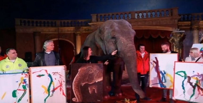 Tablouri pictate de un elefant în vârstă de 42 de ani, vândute la o licitaţie în Ungaria