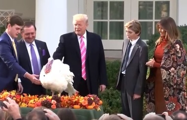 Donald Trump a graţiat primul său curcan înainte de Ziua Recunoştinţei - VIDEO