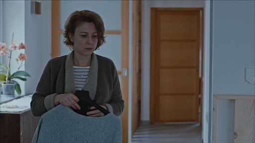 „Ceaţa”, de Adi Voicu, marele premiu al juriului pentru scurtmetraj european la Premiers Planes Festival D’Angers