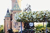 Centrul municipiului Timişoara, împodobit cu flori, în cadrul celei de-a patra ediţii a Festivalului Timfloralis. FOTO