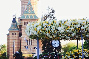 Centrul municipiului Timişoara, împodobit cu flori, în cadrul celei de-a patra ediţii a Festivalului Timfloralis. FOTO