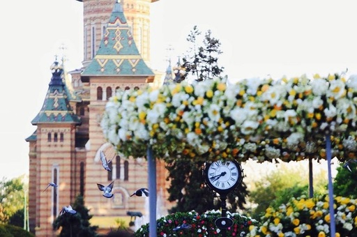 Centrul municipiului Timişoara, împodobit cu flori, în cadrul celei de-a patra ediţii a Festivalului Timfloralis. FOTO