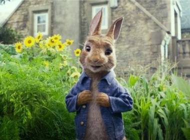 Continuarea filmului „Peter Rabbit”, în pregătire la Sony Pictures