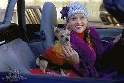 Reese Witherspoon negociază cu MGM revenirea în rolul Elle Woods, în „Legally Blonde 3”