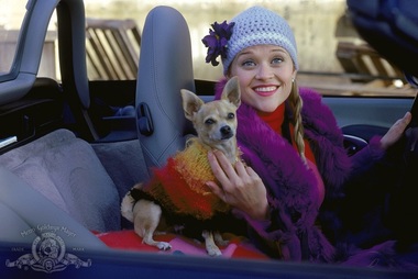 Reese Witherspoon negociază cu MGM revenirea în rolul Elle Woods, în „Legally Blonde 3”