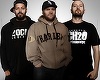 Paraziţii cântă la Shine Festival 2018