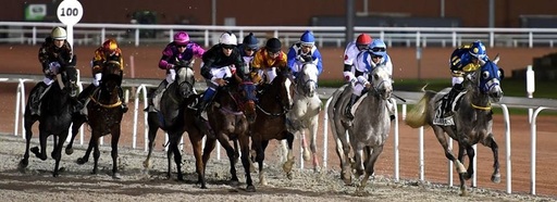 Curse de galop cu participare internaţională, în premieră la Hipodromul din Ploieşti