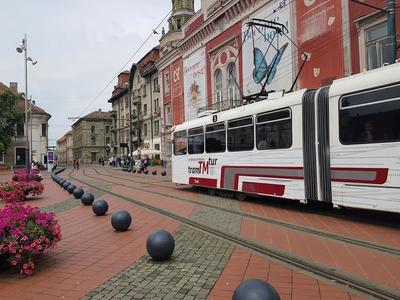 La Timişoara, în fiecare duminică va circula un tramvai turistic. FOTO